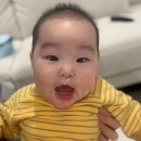 일동동물병원 | 후디스산양 소화편한 아기분유 기대후기