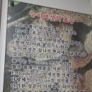 원옥미가든능이버섯백숙
