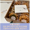 행복꿀빵 | 광주 전라 오란다 맛집 추석 답례품 오란다 답례품 안젤라수디저트 찰꿀빵 맛집 후기!