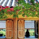 안동가마솥손두부 이미지