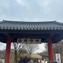 솔밭식당 | [안동 찜닭 맛집] 간고등어까지 레알 찐 <하회 솔밭식당> 시식 후기