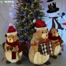 제노바이오 | 25년 12월 일기