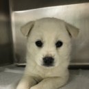 홍익동물병원 이미지