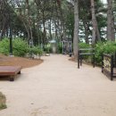 율하2지구_모산공원운동장2 네이버블로그