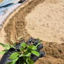 당리초등학교 이미지