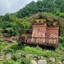 세쌍둥이네 풀꽃세상 이미지