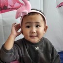 미르 스크린골프 이미지