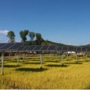 소유농원 이미지