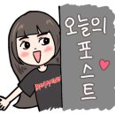 아미고펫 이미지