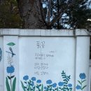 자세히 보아야 예쁘다 | I say 자세히 보아야 예쁘다 You say 오래 보아야 사랑스럽다