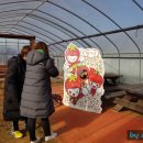 표씨농장 이미지