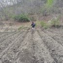 최부자농장 이미지