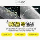 스파시스
