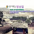 성지연꽃길 티스토리