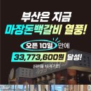 돈백 이미지