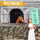 인경목장 | 제주 목장카페 밭디 아이랑 승마체험 서귀포카페 추천