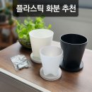 오정농장 | 예쁜 플라스틱화분 추천, 플분 오정팟 &amp; 플랜트엘 화분 후기