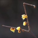 원일초등학교 이미지