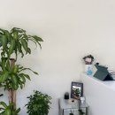 싹쓸이닭강정 장평점 | (내돈내산) 양양맛집 닭강정 먹다 심장 쿵..! 양양 혁이네 닭강정