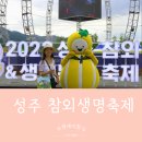 성주중앙초등학교 | 성주참외축제 생명문화축제 경북 성주 성밖외숲 참외축제 놀거리 체험활동 놀이기구