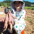 금실농장 이미지