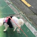 에이블 동물병원 이미지