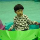 코뉴 Daum카페