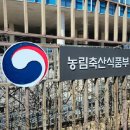 달달산골 이미지