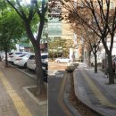 서울특별시성동구보건소 이미지