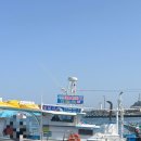 1276 | (속초여행)속초 이색 데이트 코스ㅣ속초 배낚시 체험 동광호배낚시 만족 후기