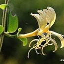 (주)인동 이미지