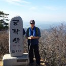 홍천메기매운탕 이미지