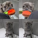 송정대로 이미지