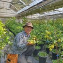 (주)레몬12 이미지