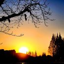 정도행정사 이미지