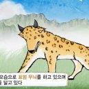 [바른 우리말] 교활(狡猾)의 유래와 어원 이미지