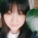 (주)해피나무 이미지