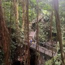 6일 식당 | 발리 패키지 여행 4박6일 코스 아야나 호텔 후기