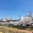 고산사목조석가모니불좌상 이미지