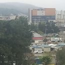 일등마켓