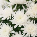 일신토탈서비스 이미지