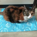 (주)쿨프렌즈 이미지