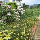 플록스펜션 이미지