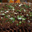 하주옥 진주냉면 이미지