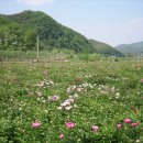 우성종합정비공장 이미지