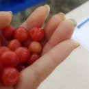 대송공인중개사사무소 이미지