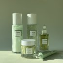 김정문알로에 원대 이미지