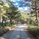 흥터입구 이미지