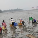 꼬막꼬막 이미지