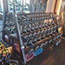 머슬핏피트니스 이미지